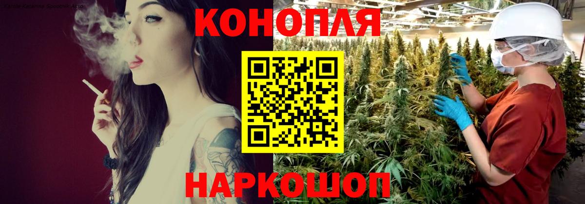 Конопля Amnesia  Конопля тримм  Бошки Шишки тримм  Йошкар-Ола  Вход с VPN 